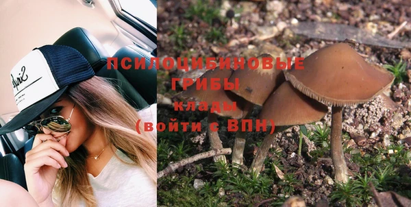 ПСИЛОЦИБИНОВЫЕ ГРИБЫ Ессентукская