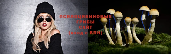 MESCALINE Новодвинск