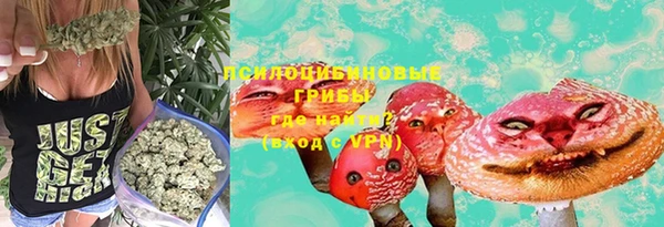 тгк Нязепетровск